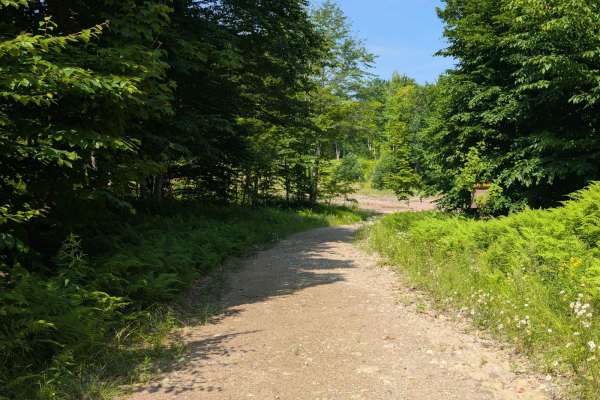 TeePee Road - Lower Sellecks Camp Road