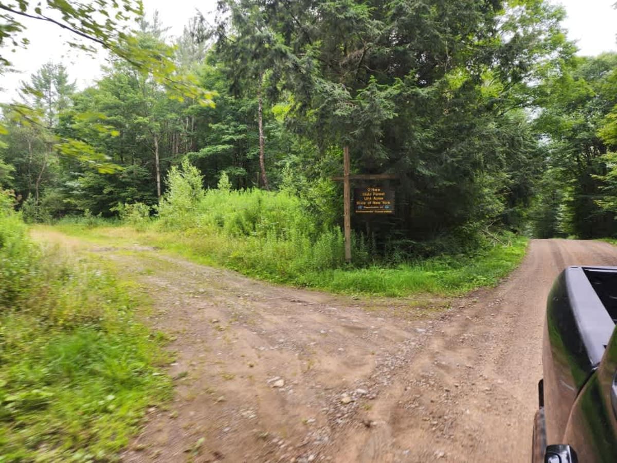 O'Hara Road trail photo
