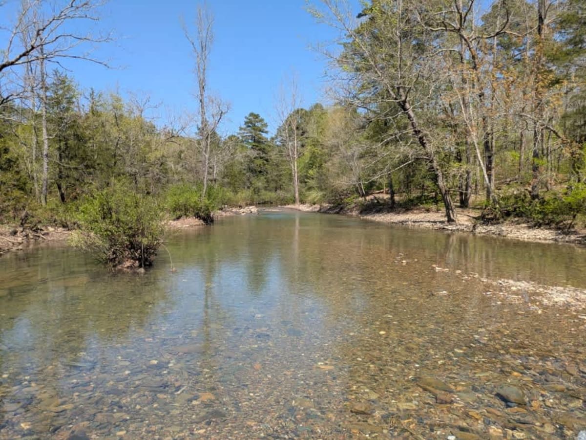 52420 photo 6