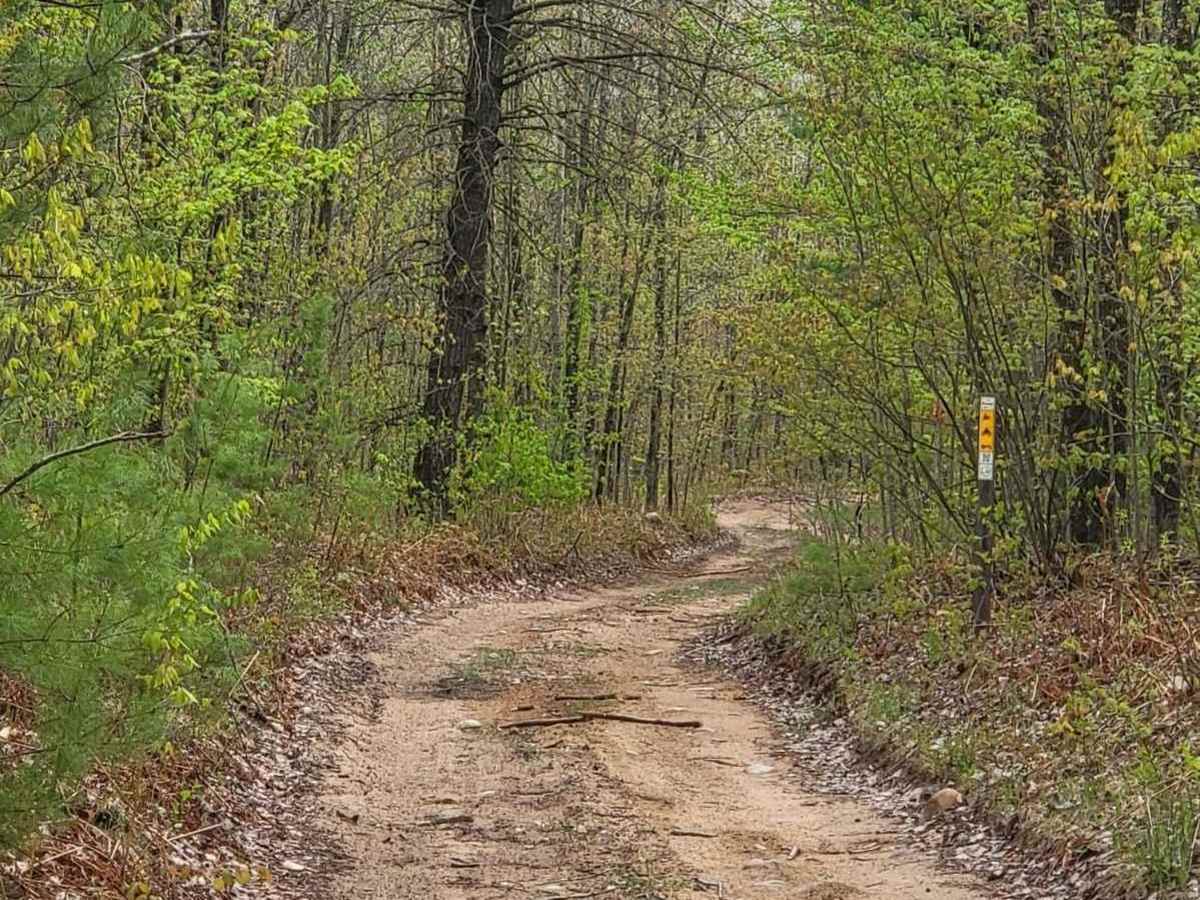Mio ORV Route - West photo 4