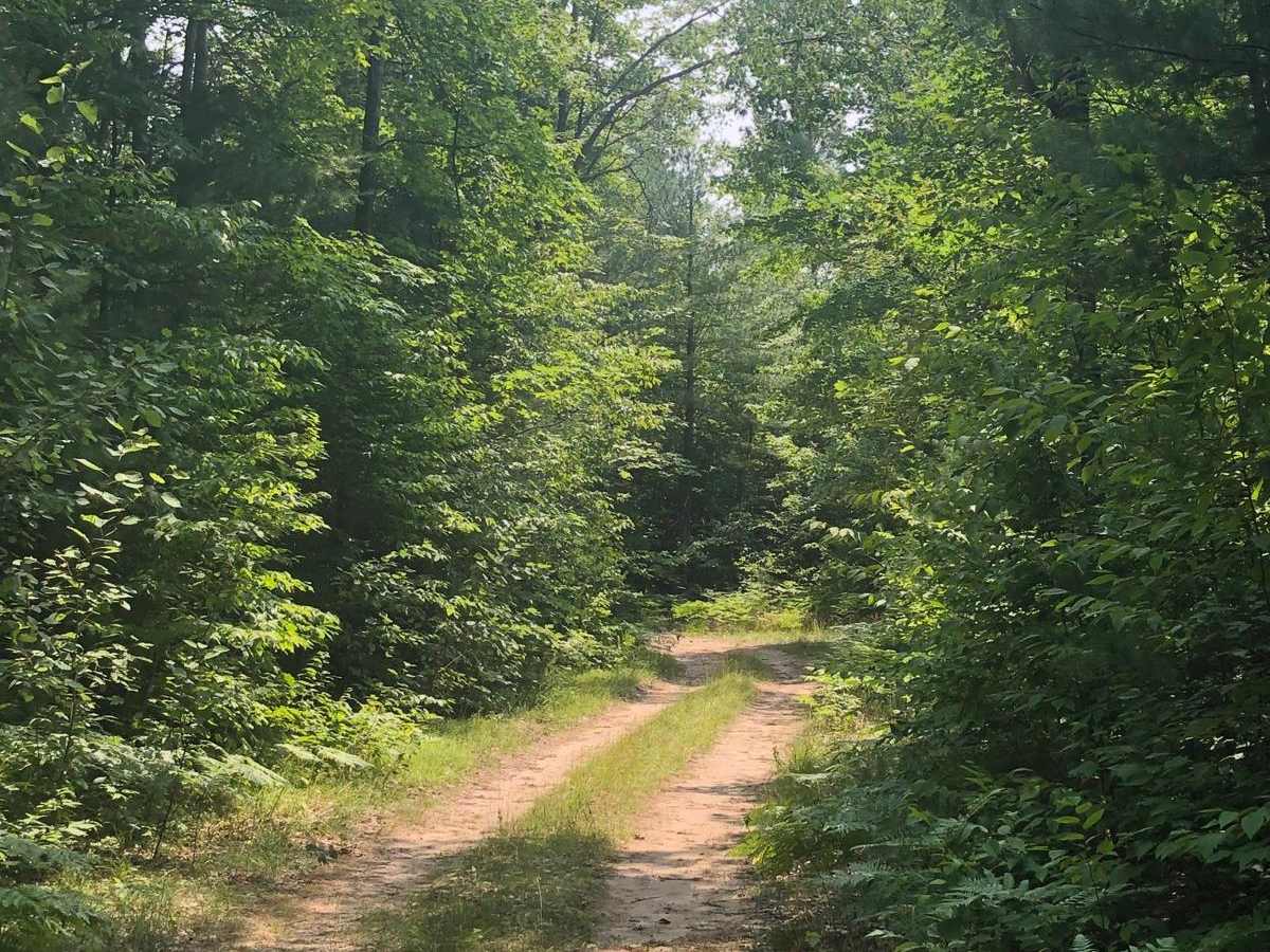 Carpenter Road Loop photo 2