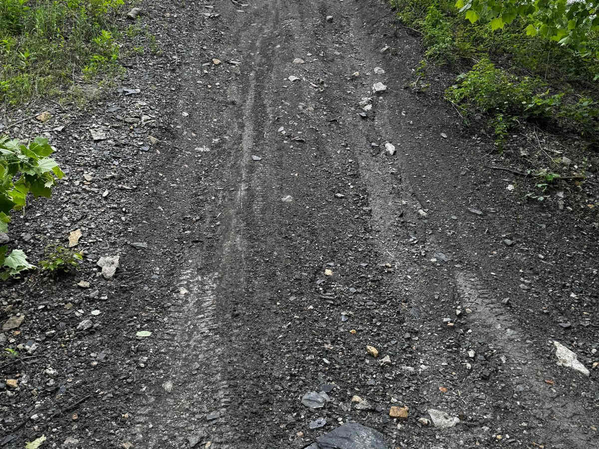 Red 168 trail photo