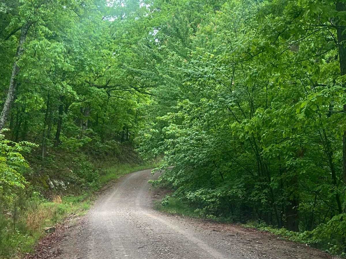 West Forked Mountain FR124 photo 5