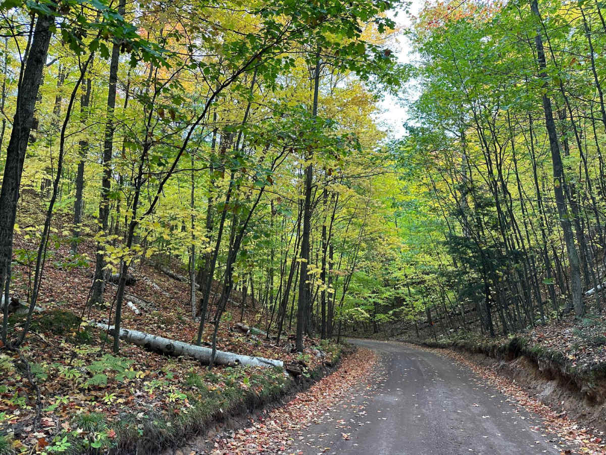 Mount Marquette Road photo 3