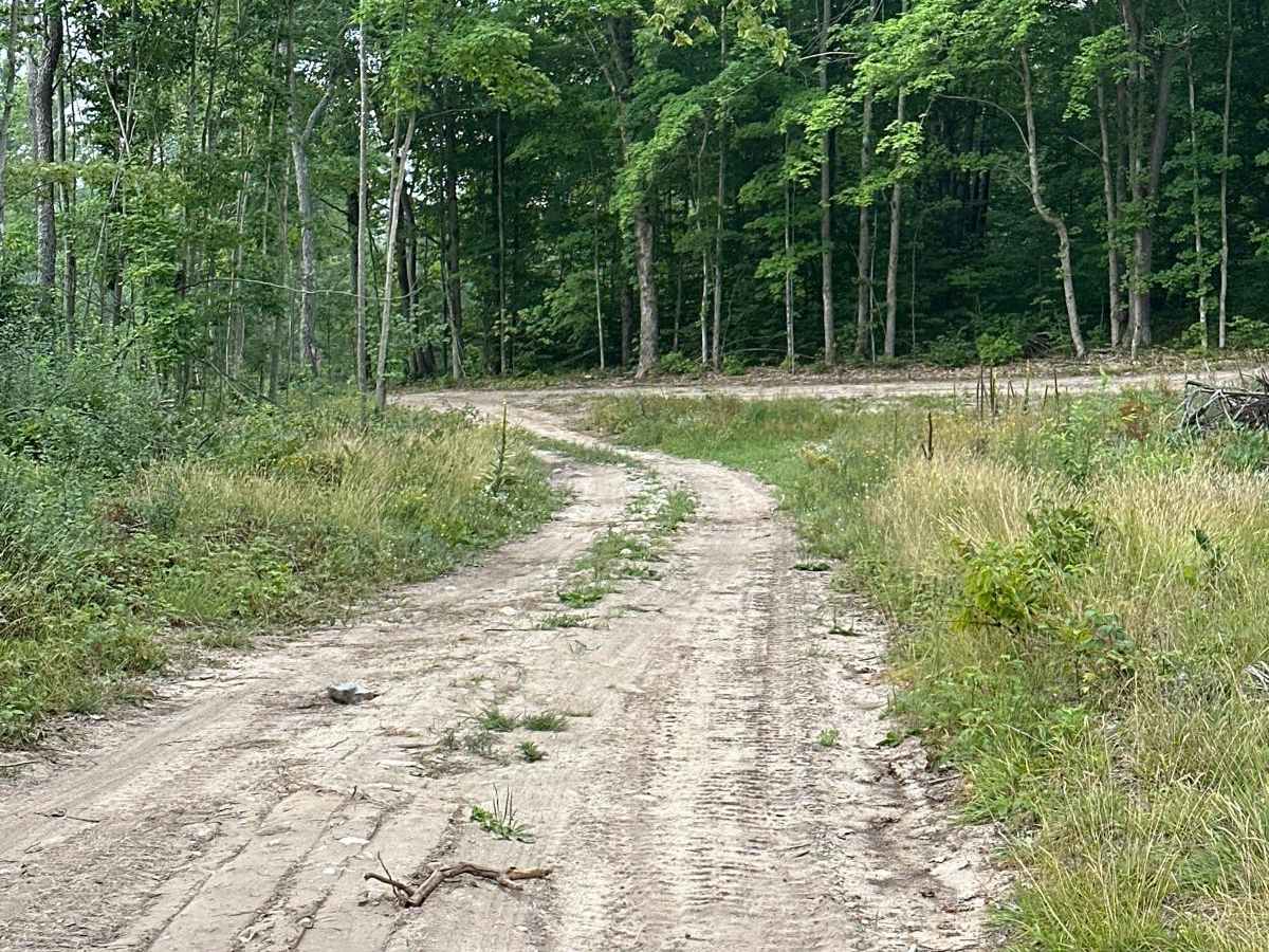 North Haze Road Part 4/48461 photo 6