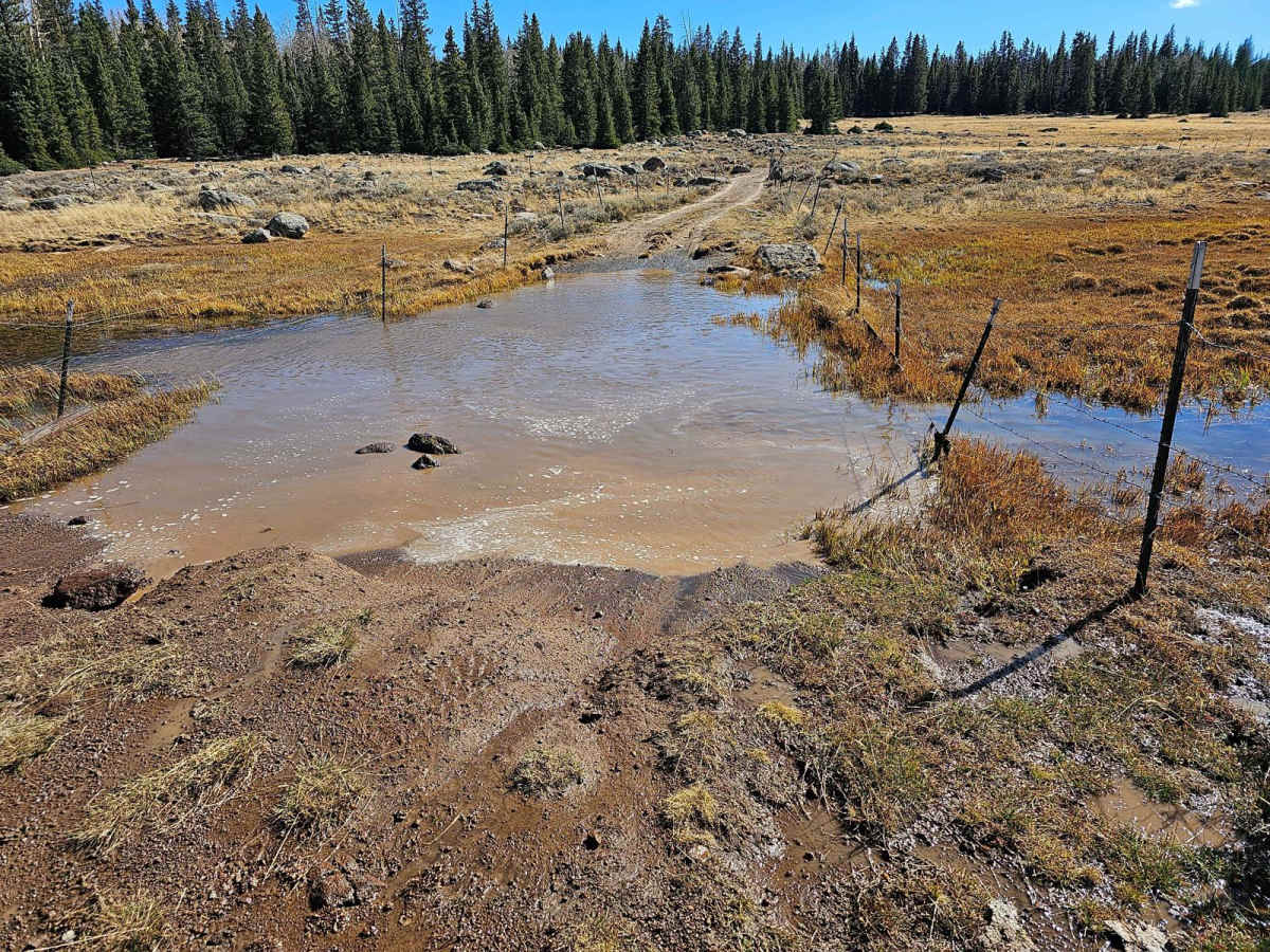 Velvet Lake Road photo 2