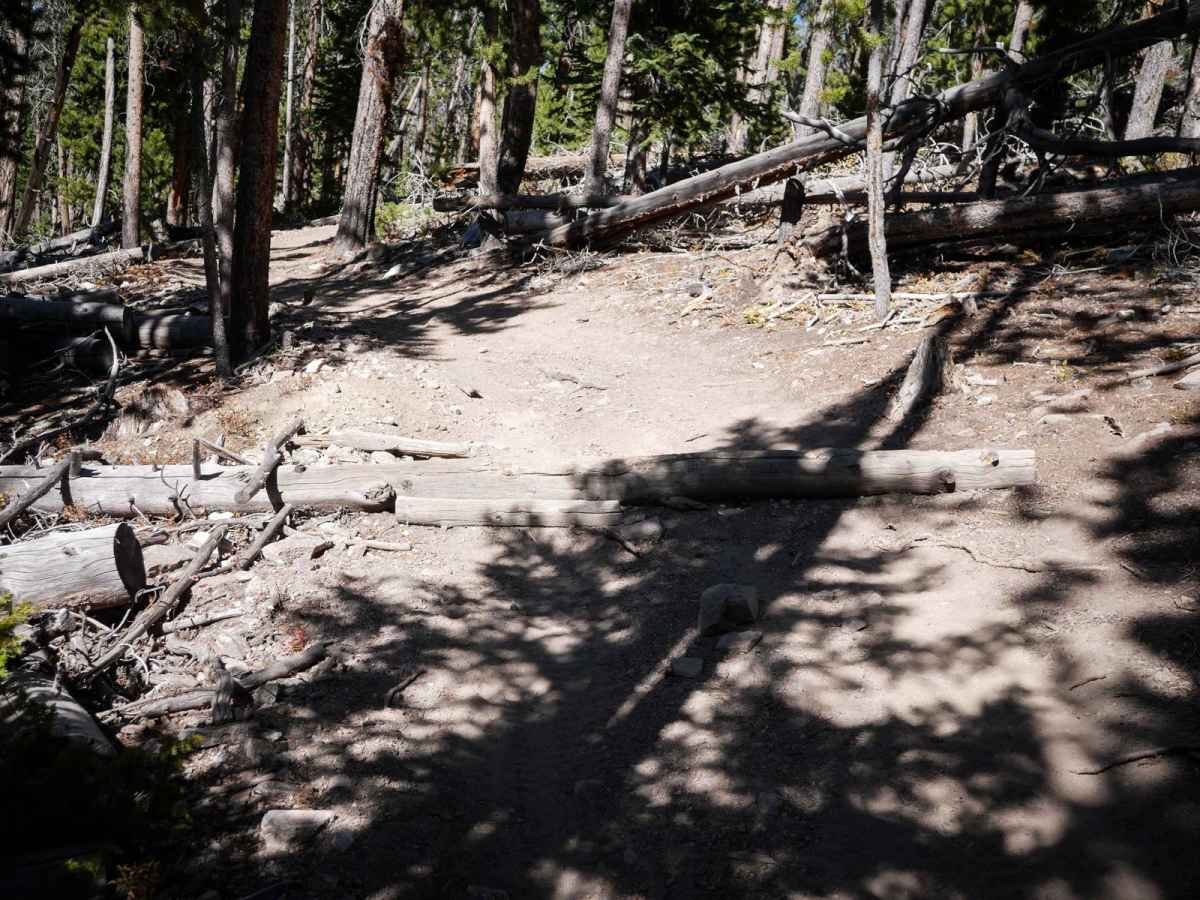 Upper Elk Creek ATV photo 4