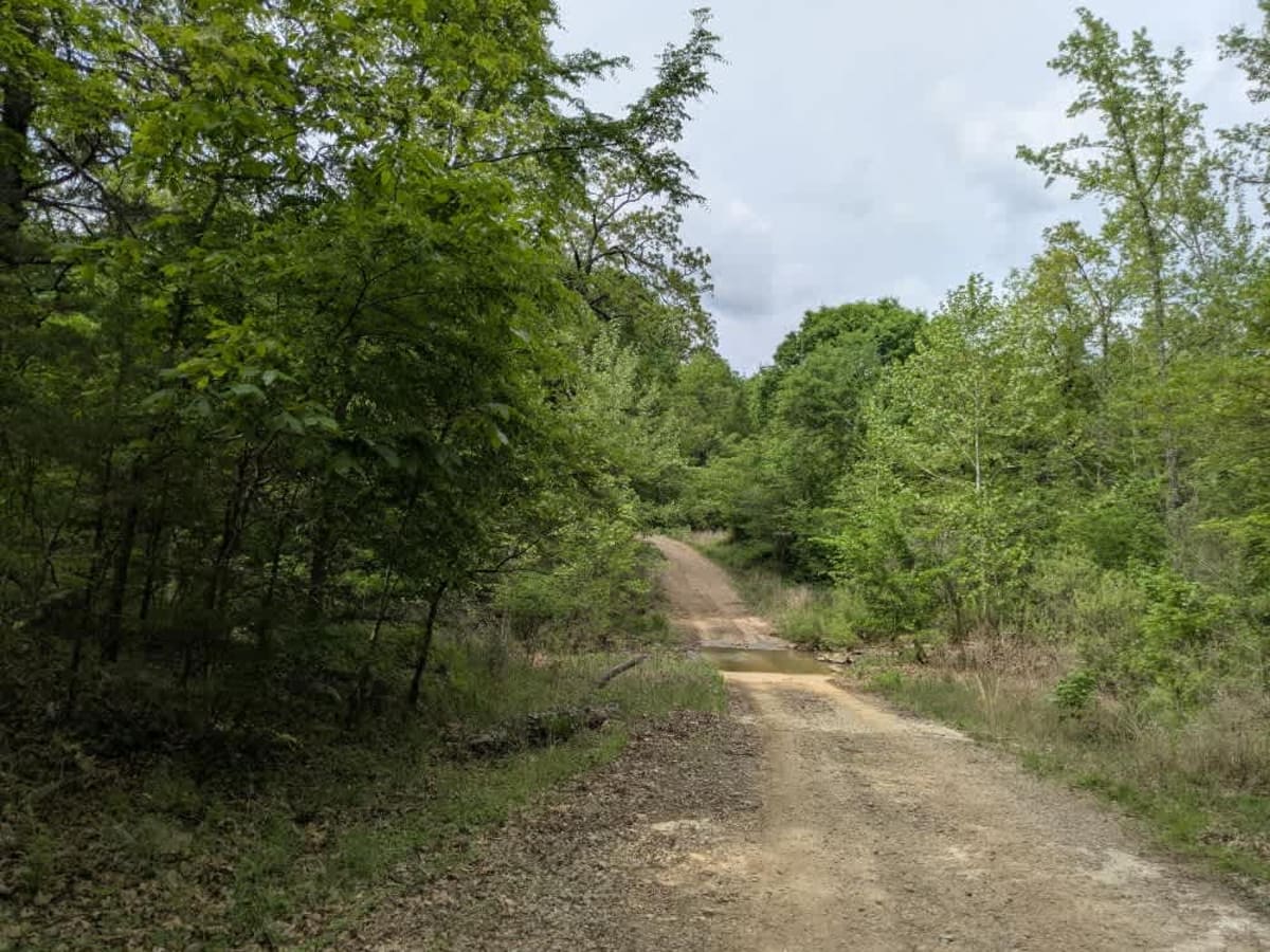 Wicked Creek photo 4