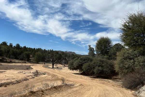 Upper Gold Gulch