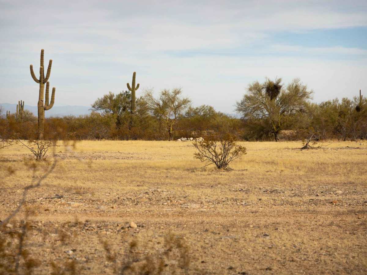 Dushey Canyon Cutoff photo 4