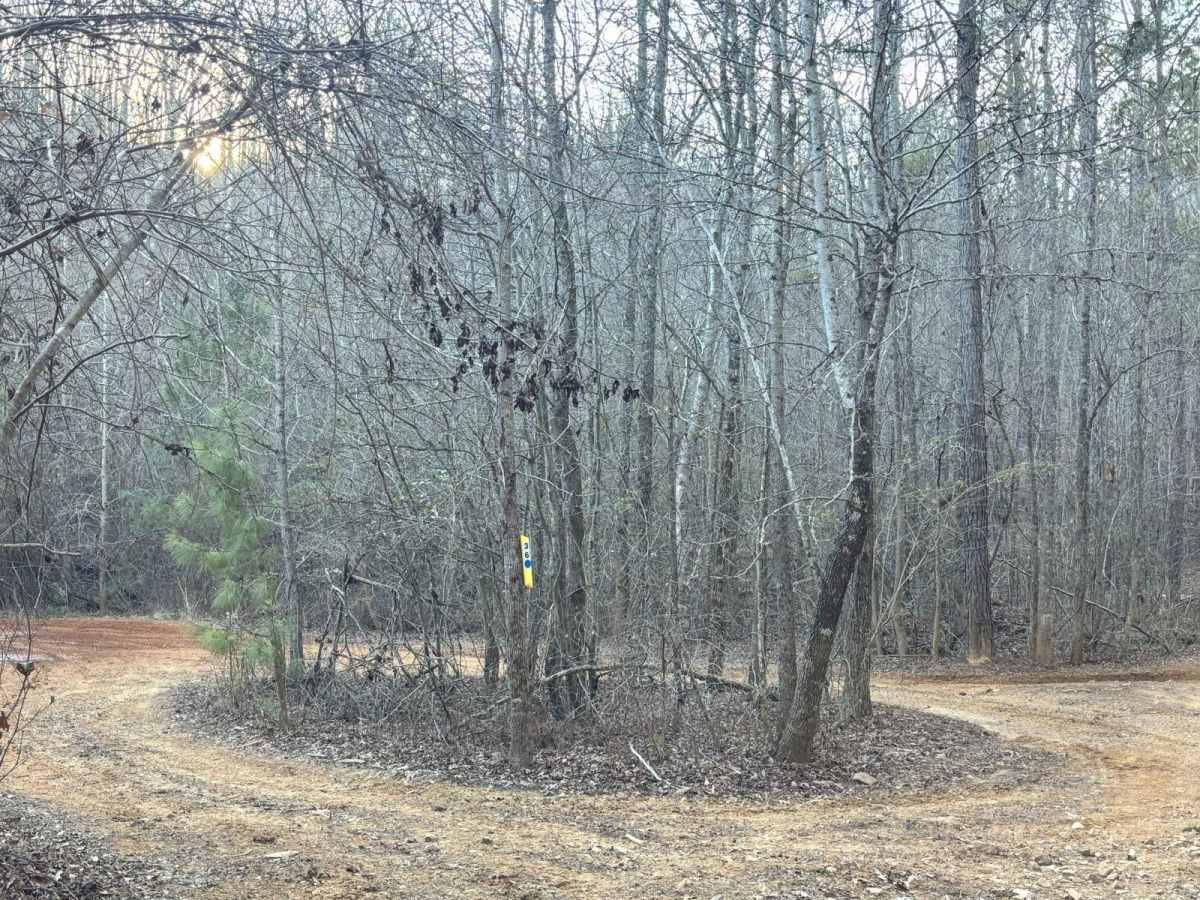 36 trail photo