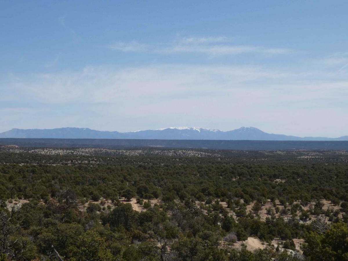 Vistas Overlook photo 6