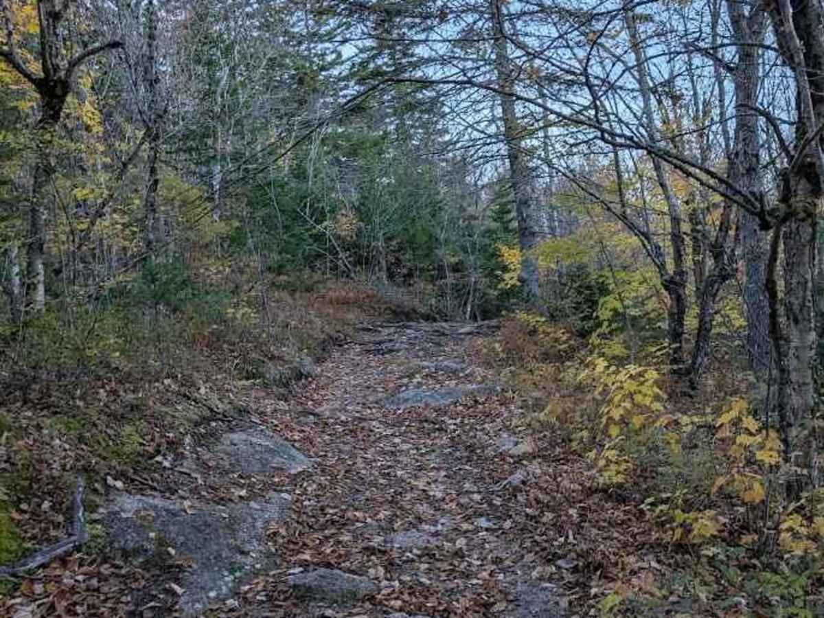 Turtle Mountain photo 5