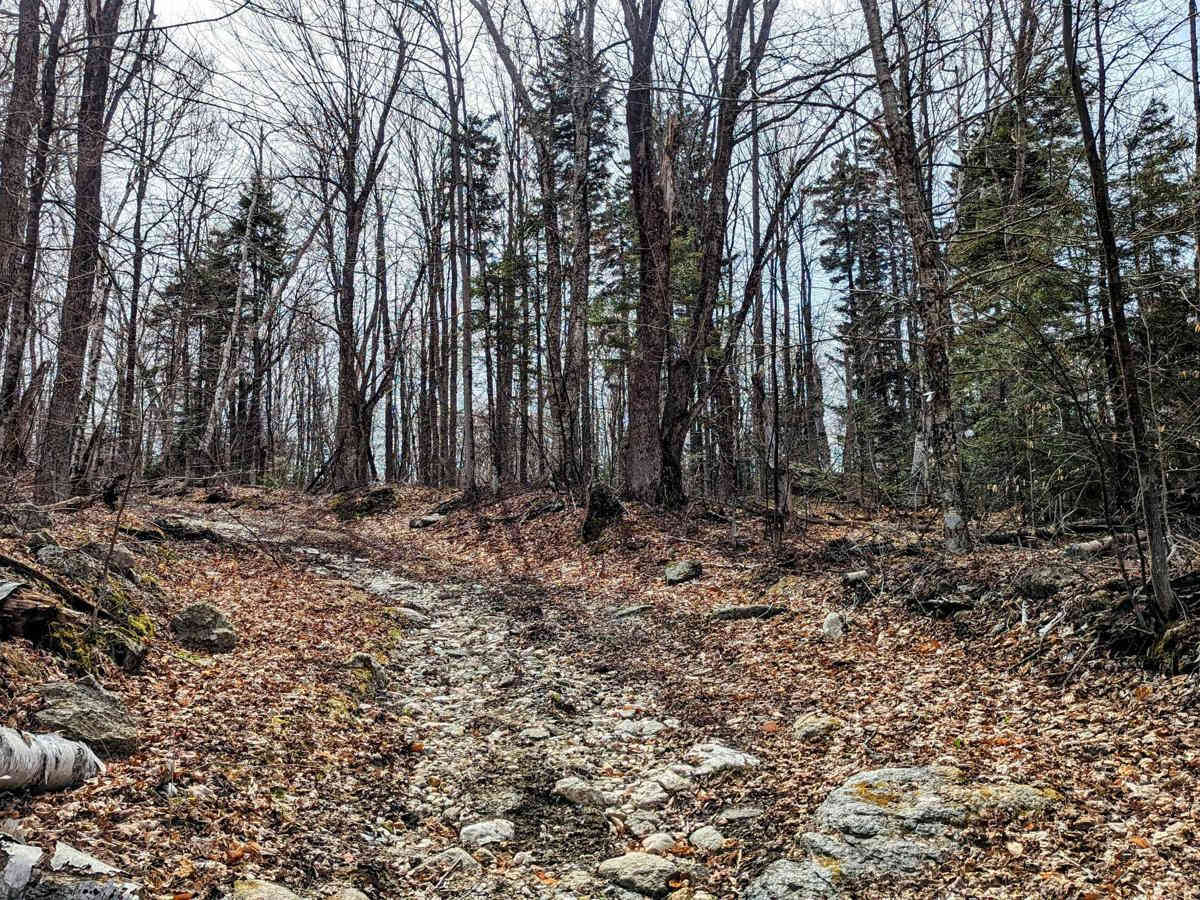 Brown Road photo 2