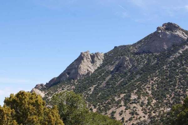 The Horn Road-BLM14000