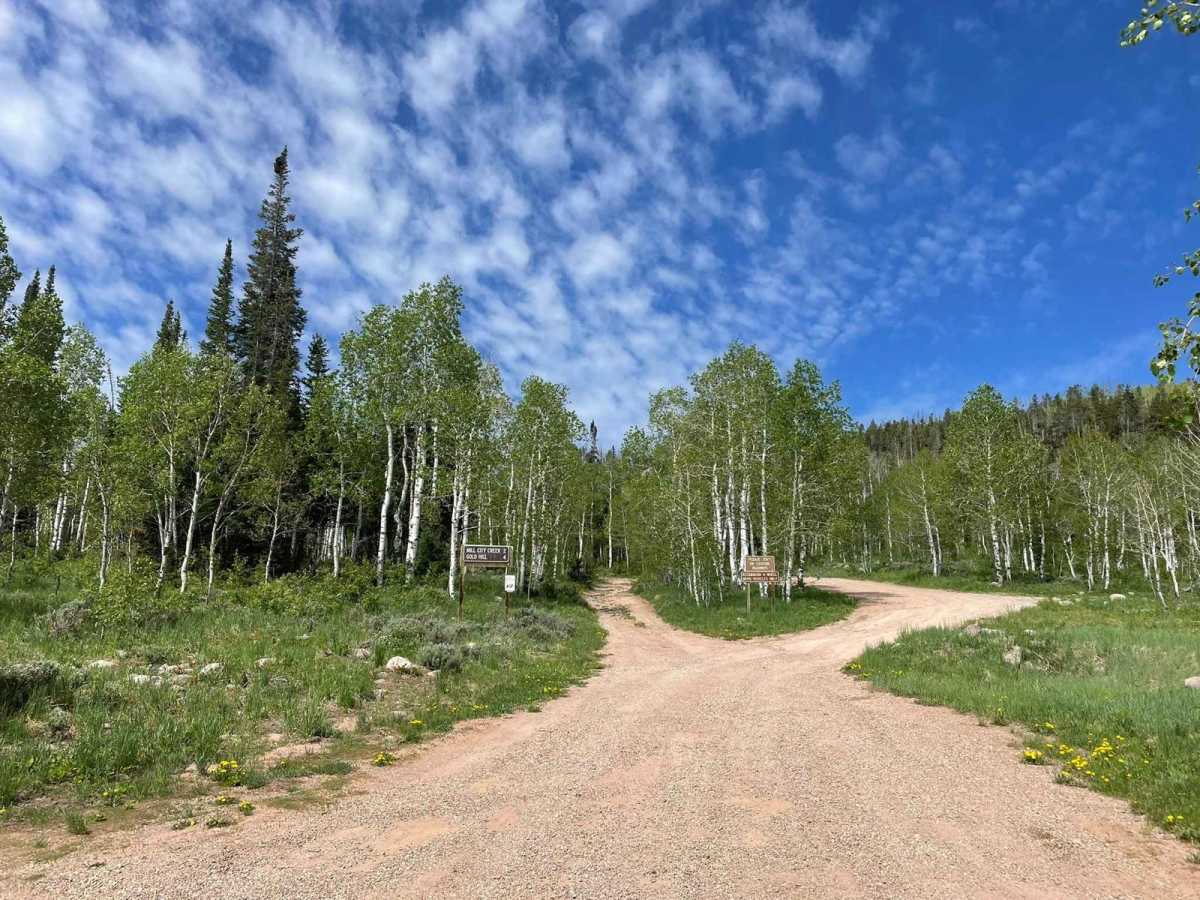 Gold Hill trail photo