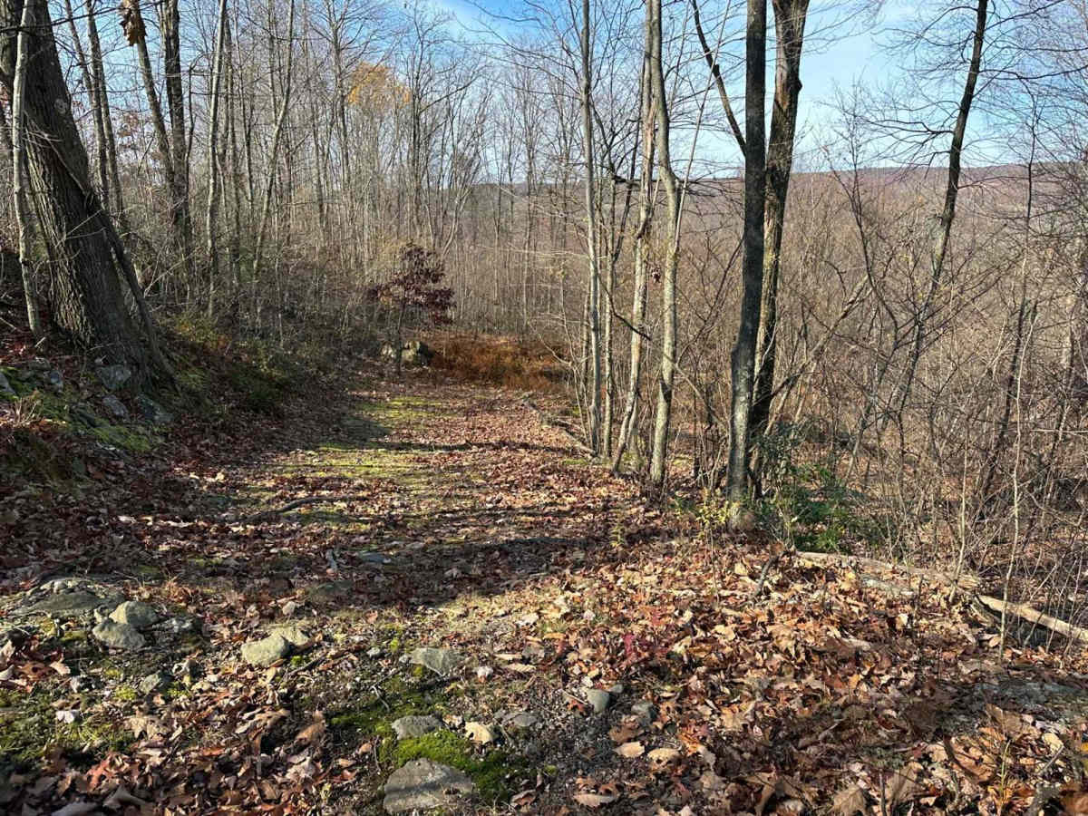 Ashland 156 photo 2