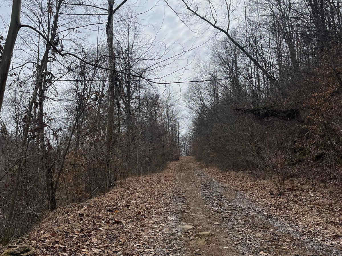 Trail 34 Maynards Fork photo 5