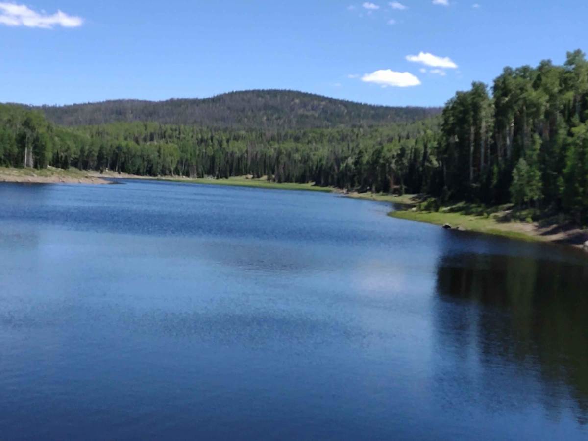Annabella Reservoir/Deep Lake - FS 40080 trail photo