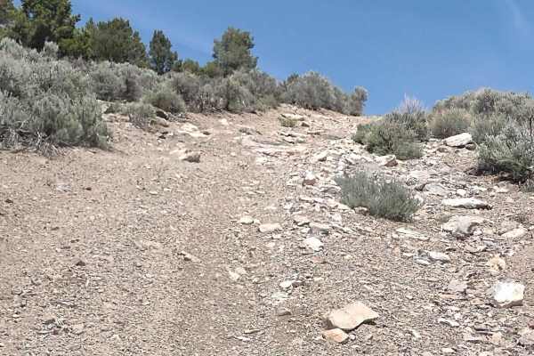 West Angle Road to Sam's Cabin