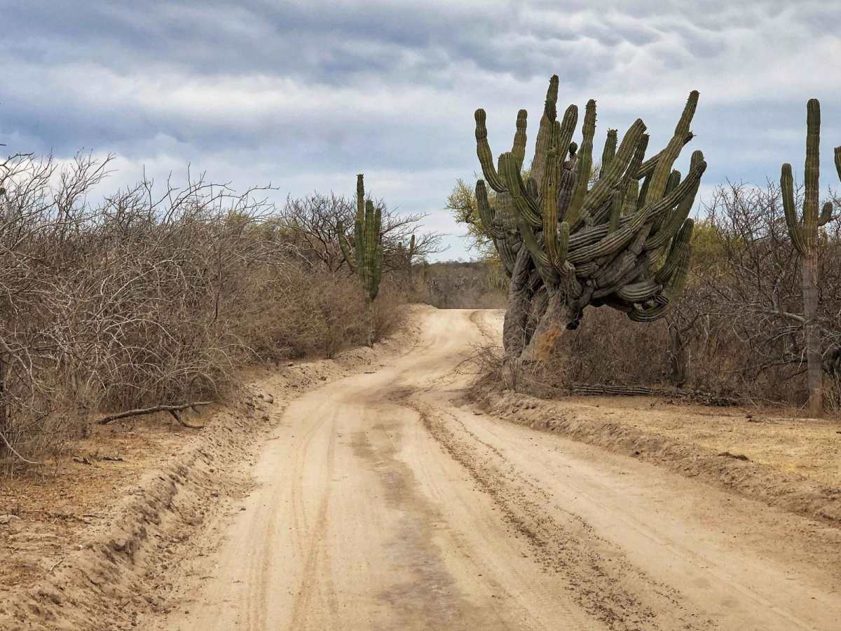 El Canion trail photo