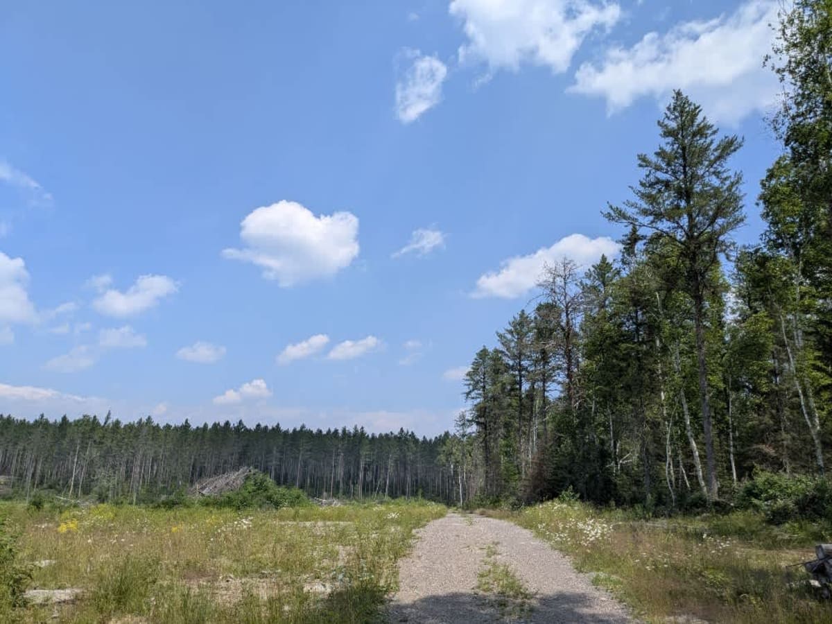 Edward Lake photo 4