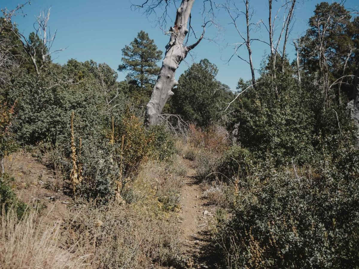 Pine Creek photo 4
