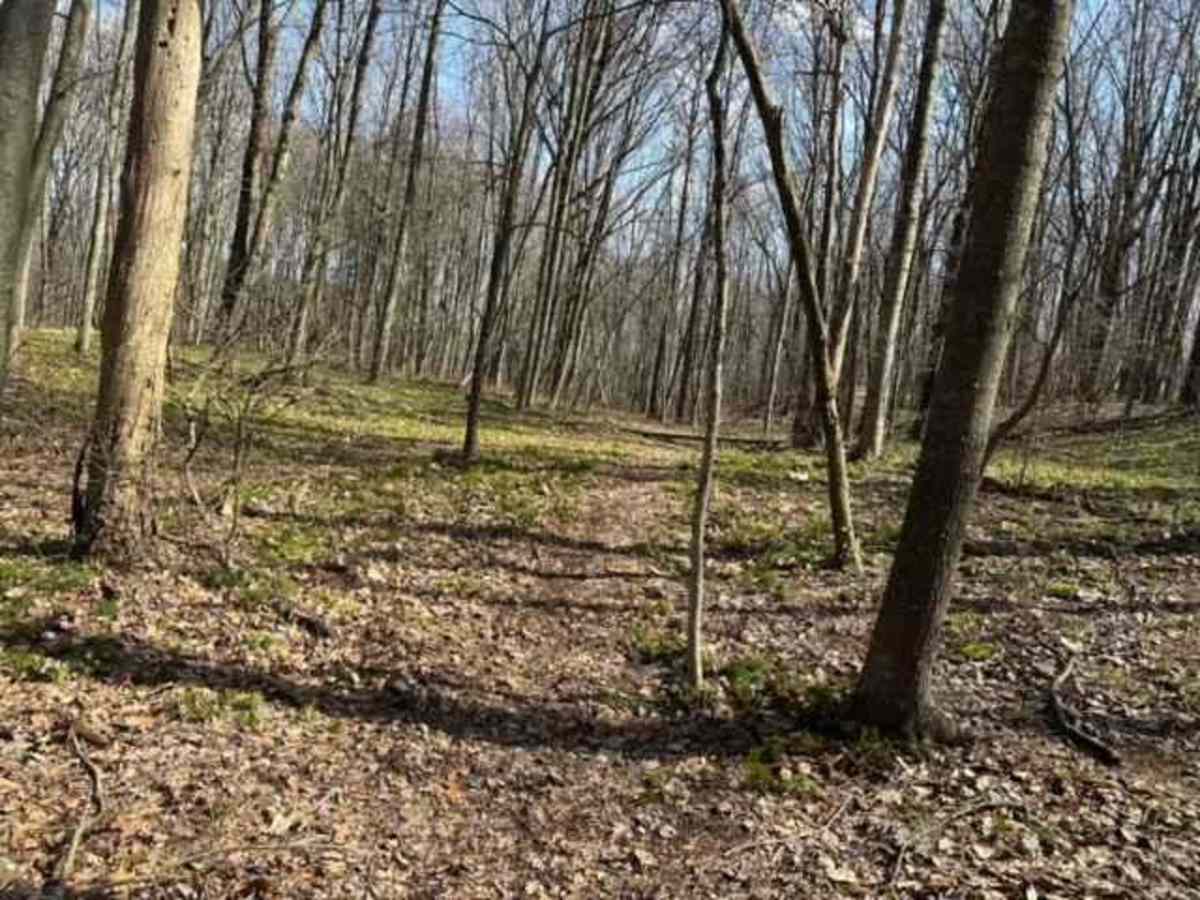 St. Keirns Single Track 6 trail photo