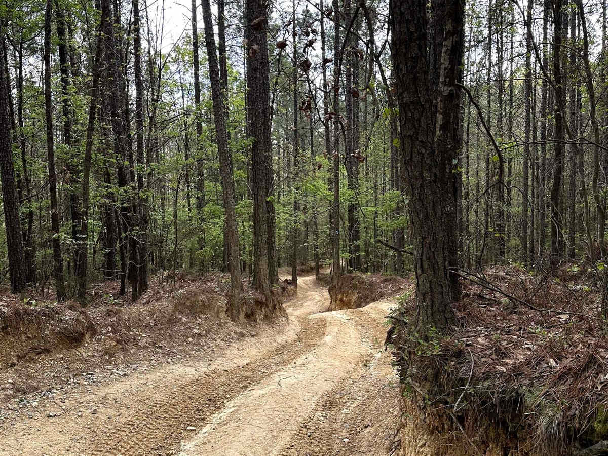 Trail 9 photo 5