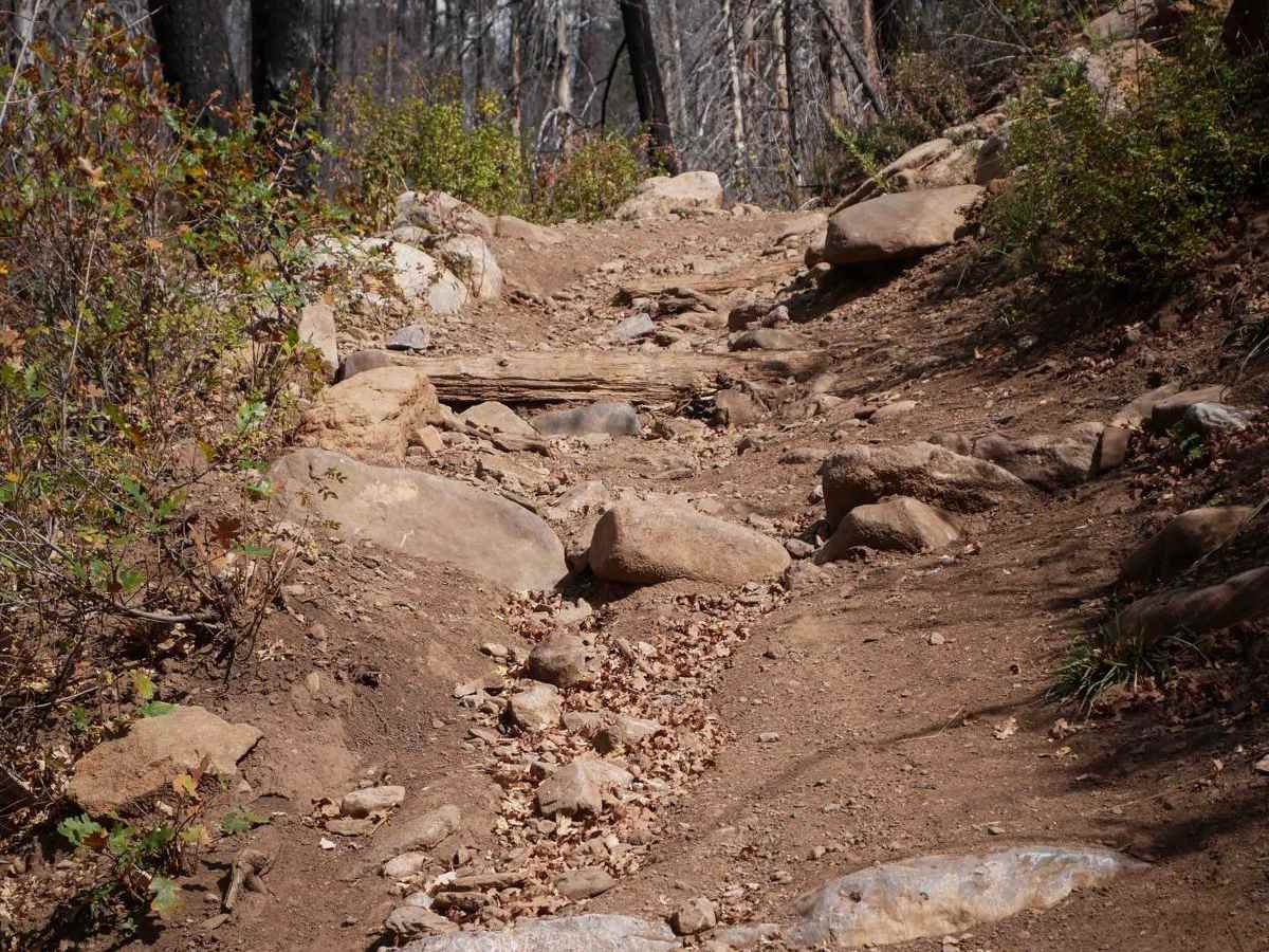 Hermosa Creek photo 3