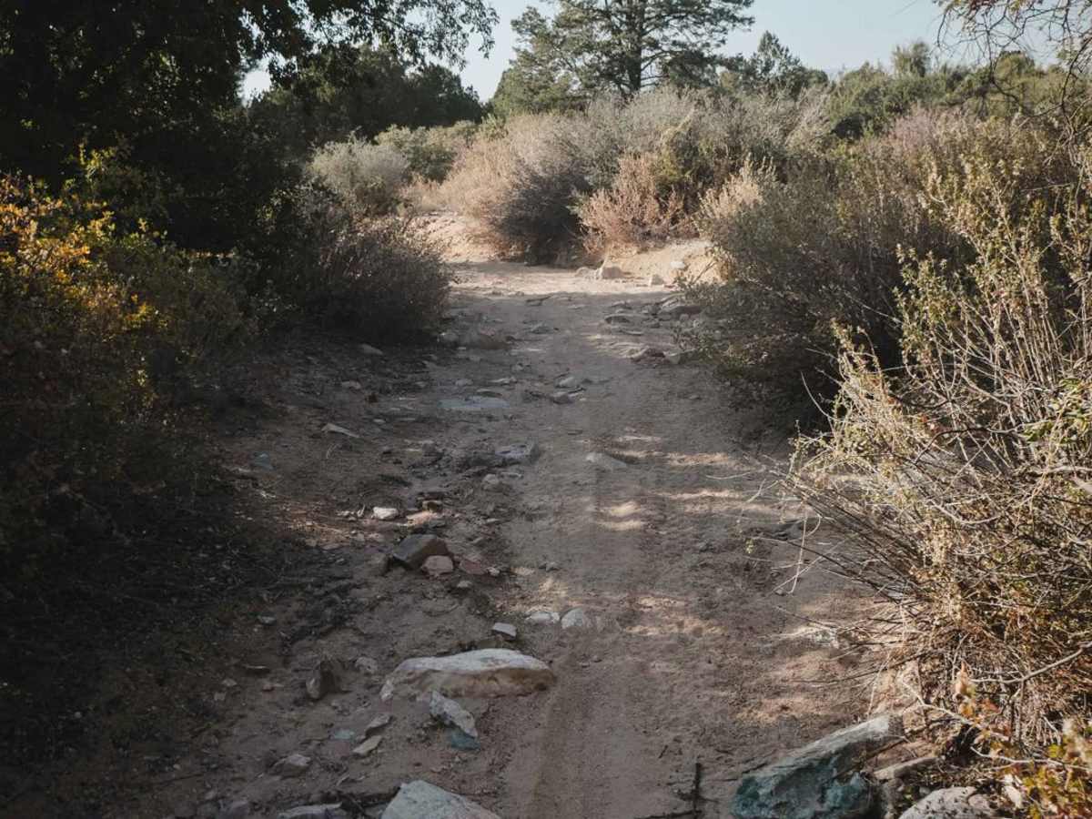 Cottonwood Loop #509 photo 5
