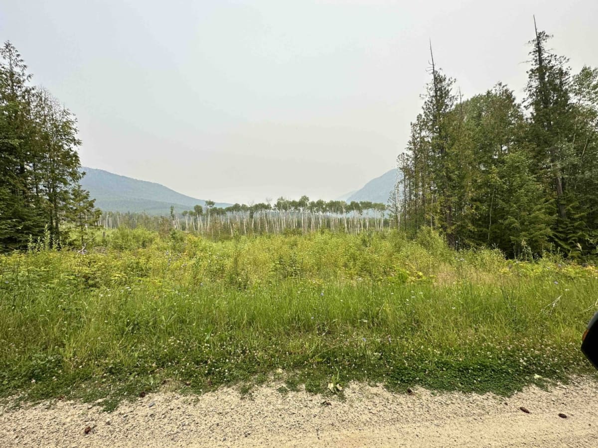Charcoal Creek FSR photo 3