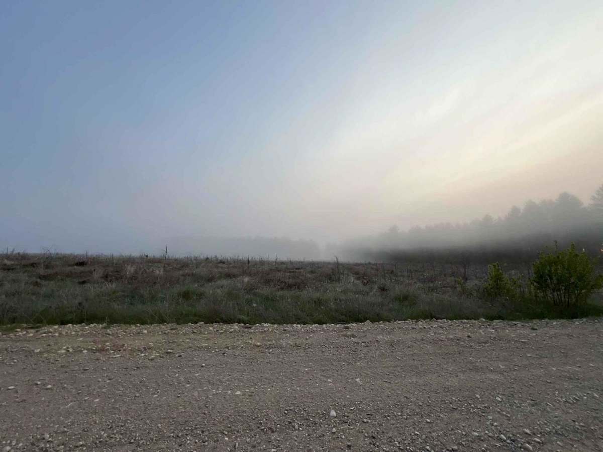 Lyons Lake Road photo 4