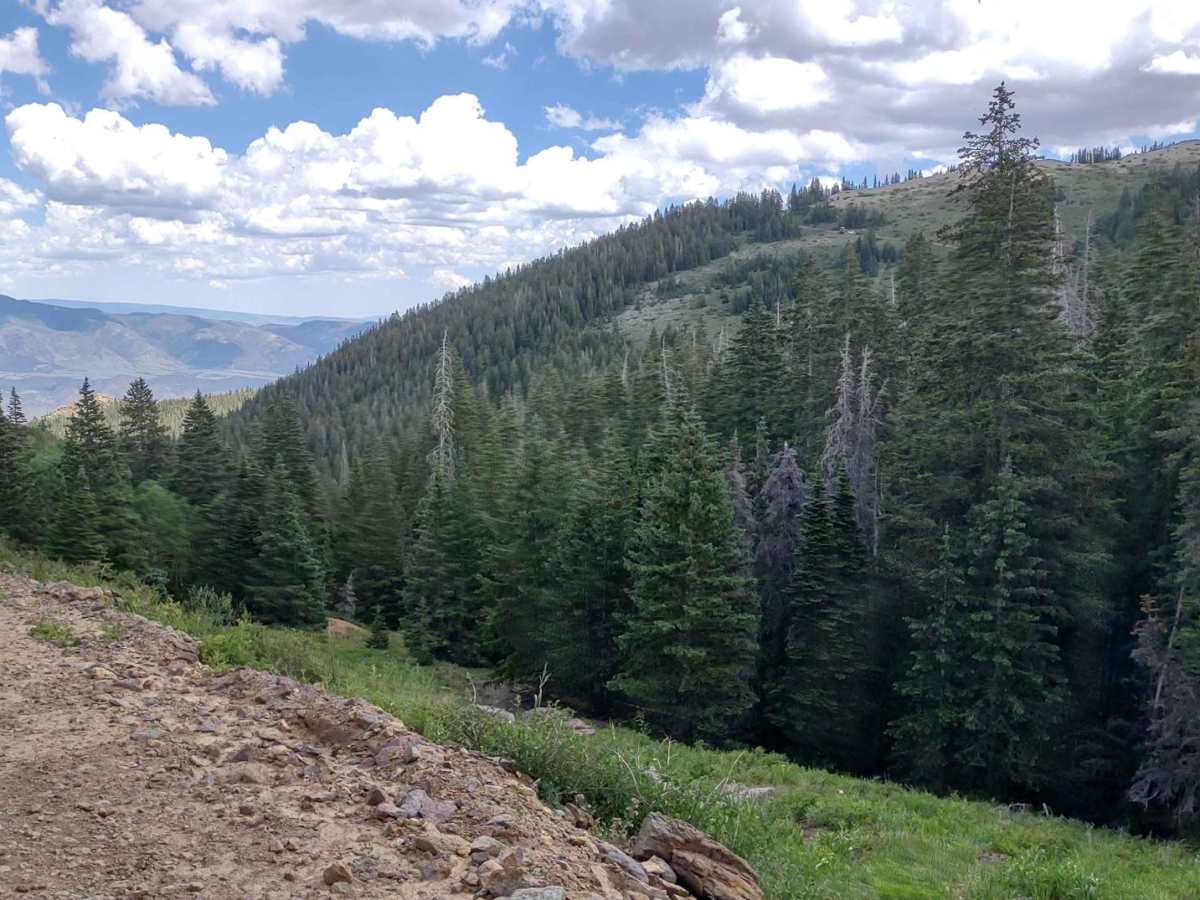 Revenue Gulch - Bullion/Wedge Road trail photo