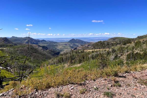 Mount Dutton - Cottonwood (30125/30353)