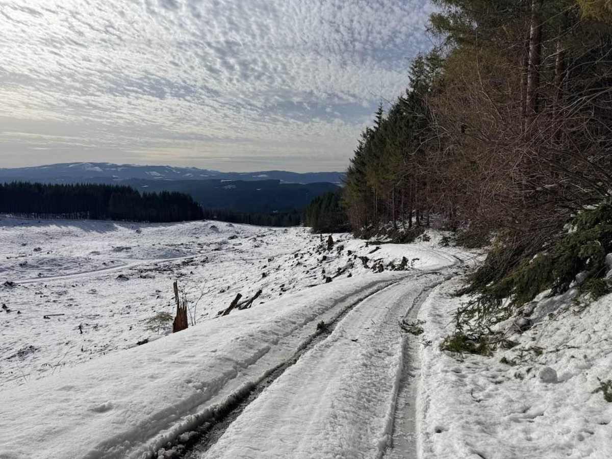 Hoffman Road photo 4