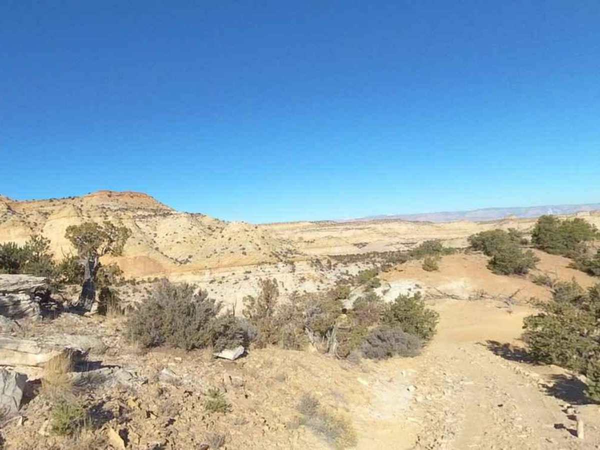 Secret Mesa-BLM648 photo 3