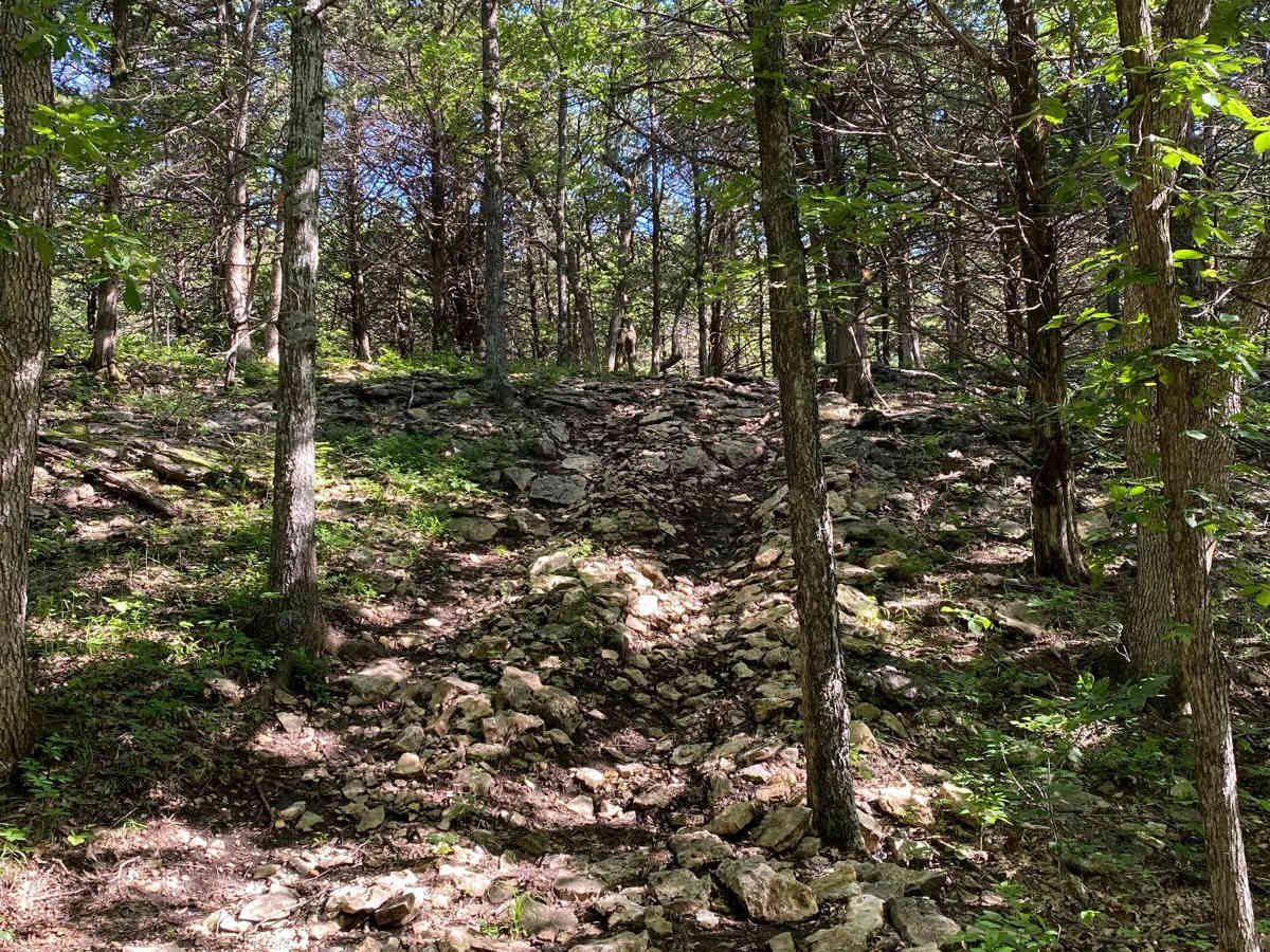 Turner's Trail photo 6