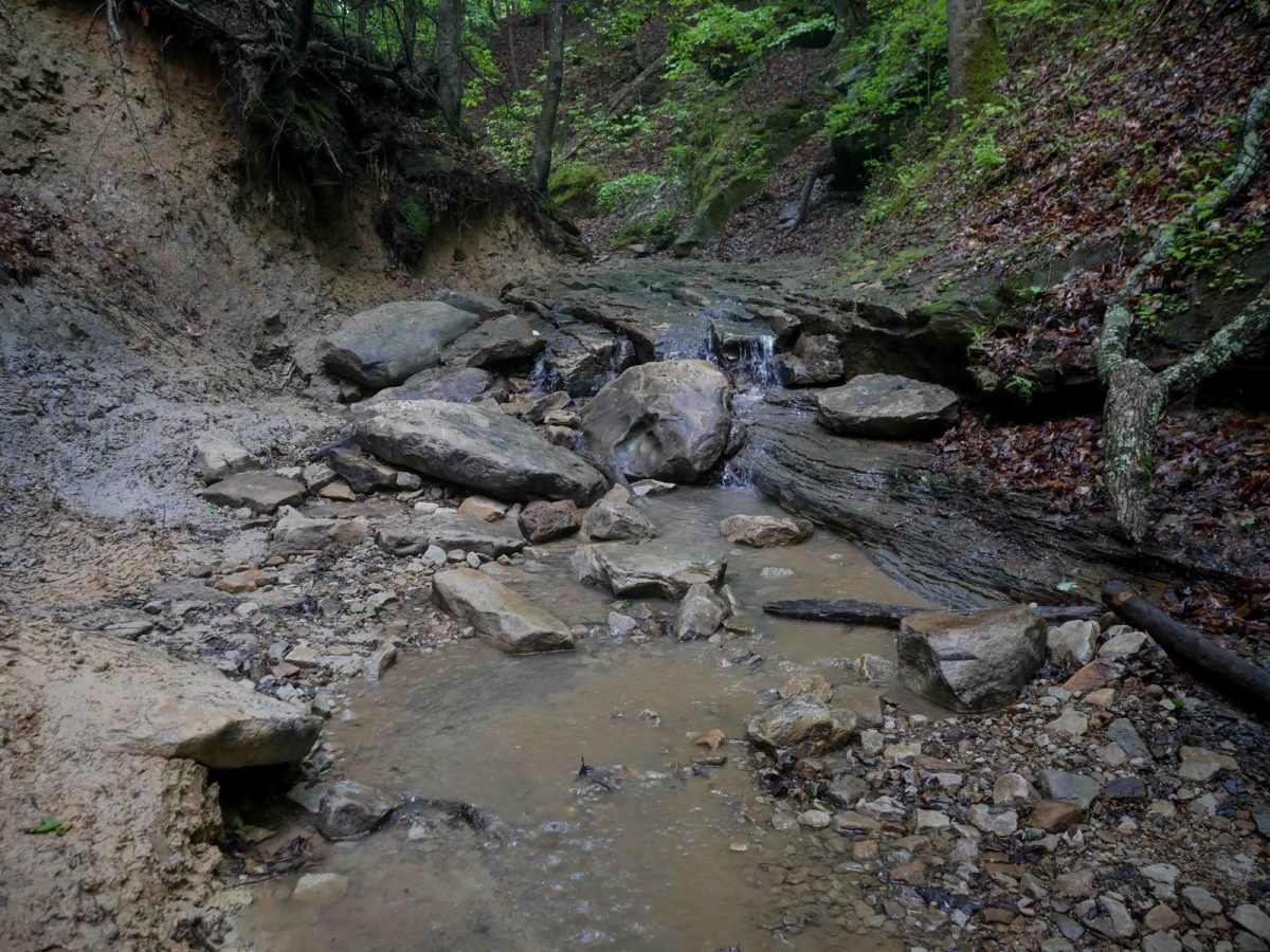 IB 78 trail photo