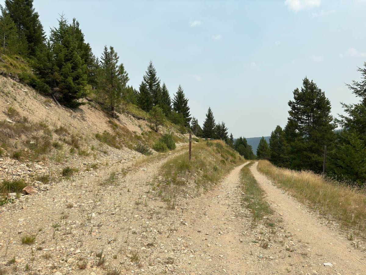 West Fork Camp Creek photo 5