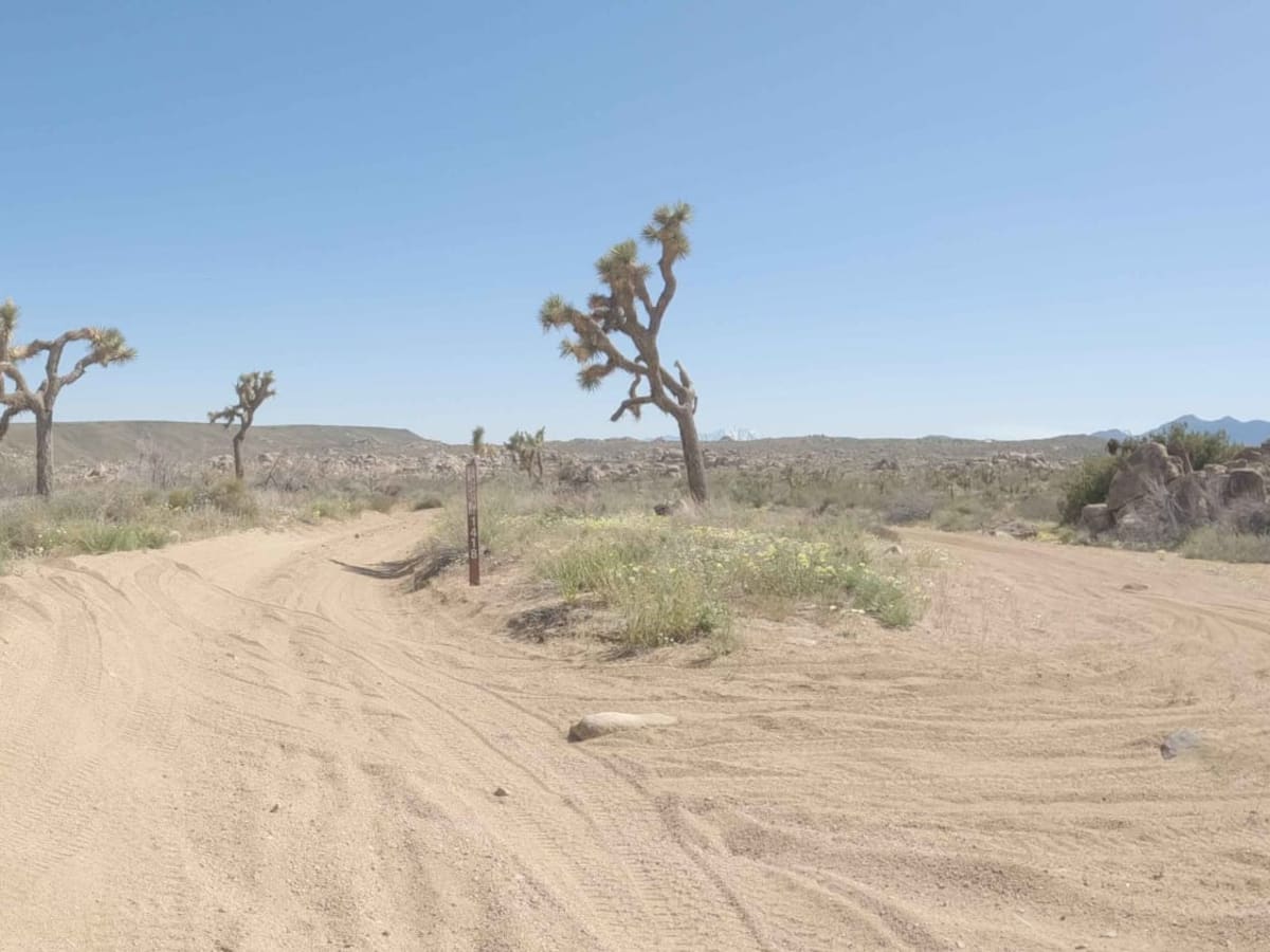BLM C1418 photo 4