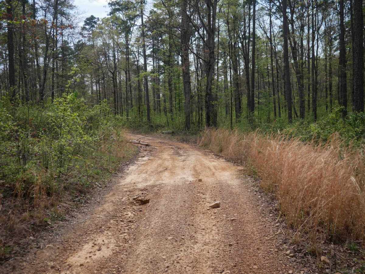 Black Oak Ridge Spur South photo 6