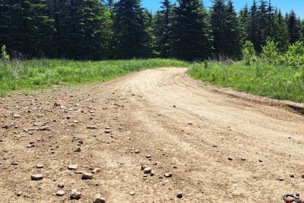 Cow Path