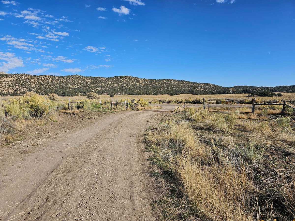 Corn Creek-Stump Springs photo 2