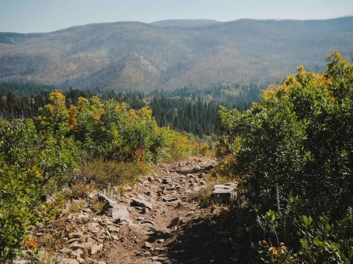 North Fork Cattle Creek Trail trail photo