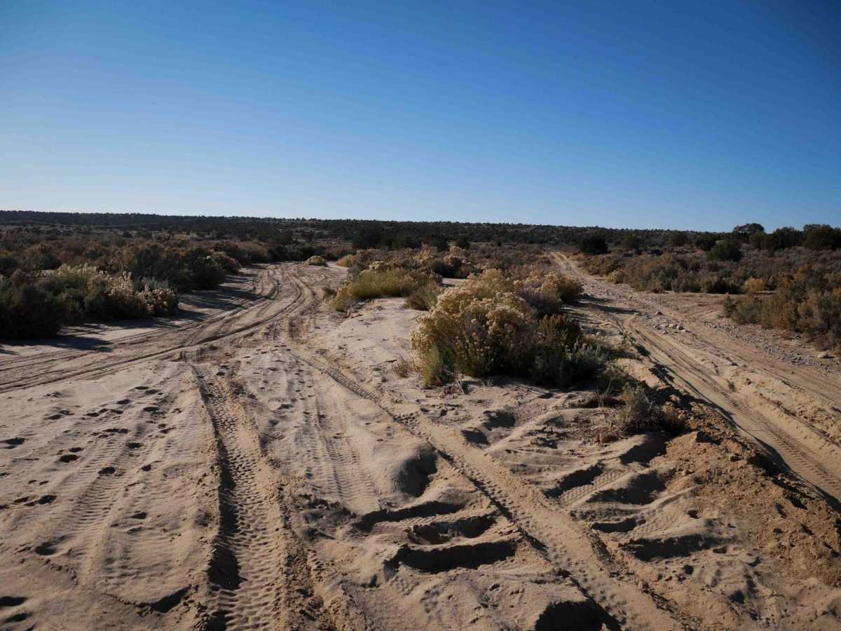 Casanova Mount Wash photo 6