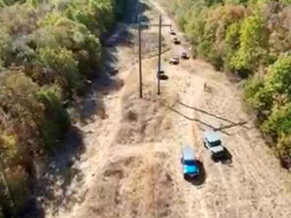 Power Line photo 5
