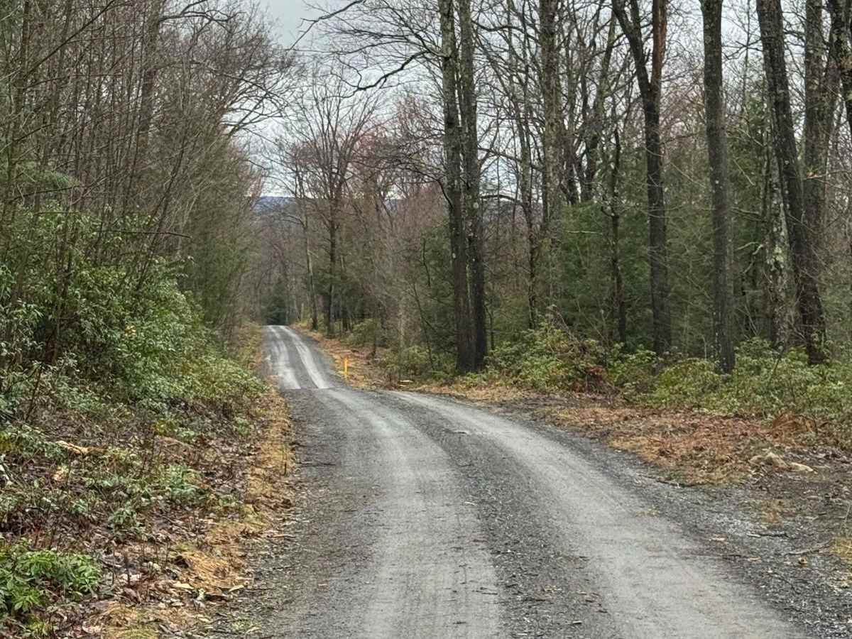 Fields Ridge Road photo 6