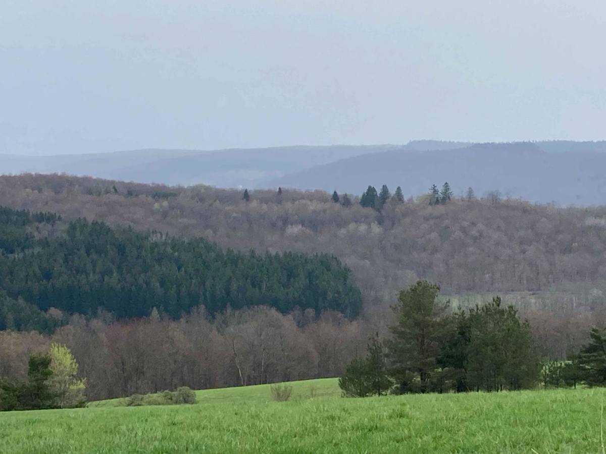 Cuyler Hill Road photo 4