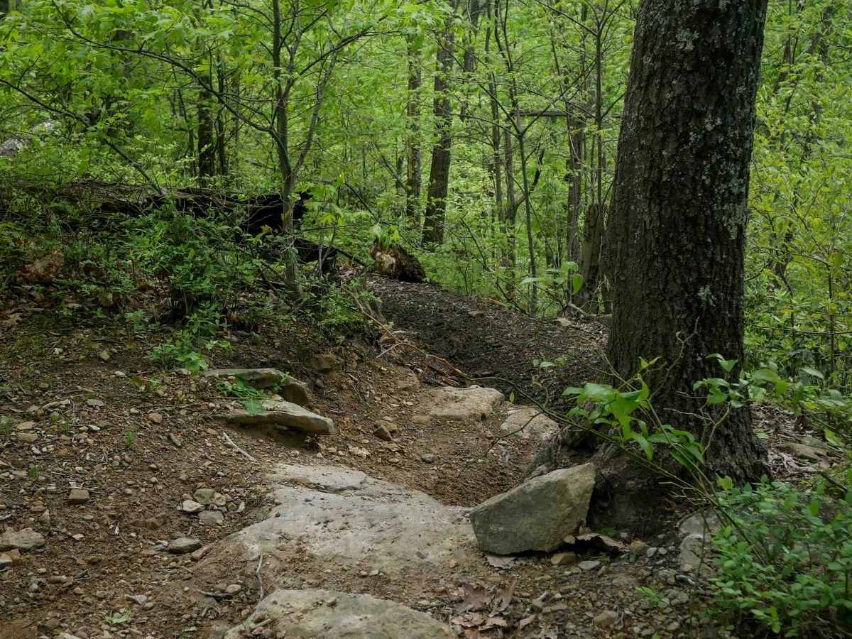 BM 182 trail photo